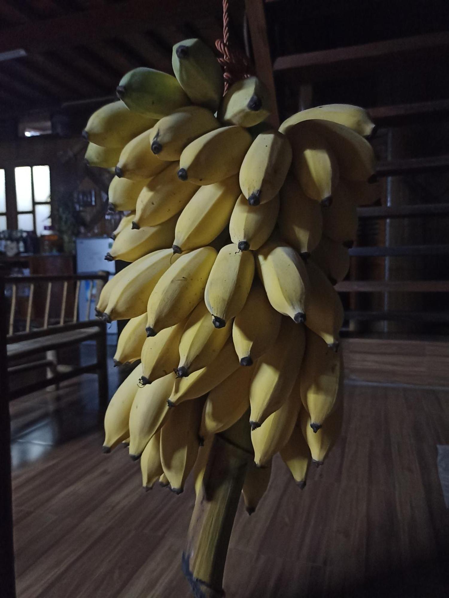 Thao Ly Homestay Mai Chau Hoa Binh Екстер'єр фото