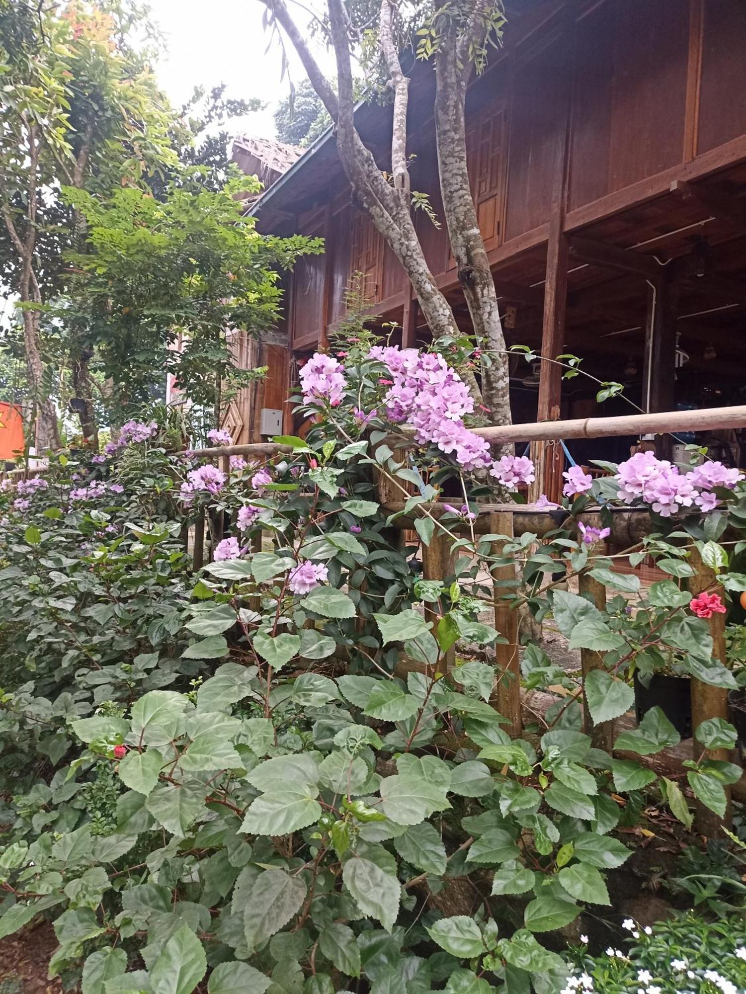 Thao Ly Homestay Mai Chau Hoa Binh Екстер'єр фото
