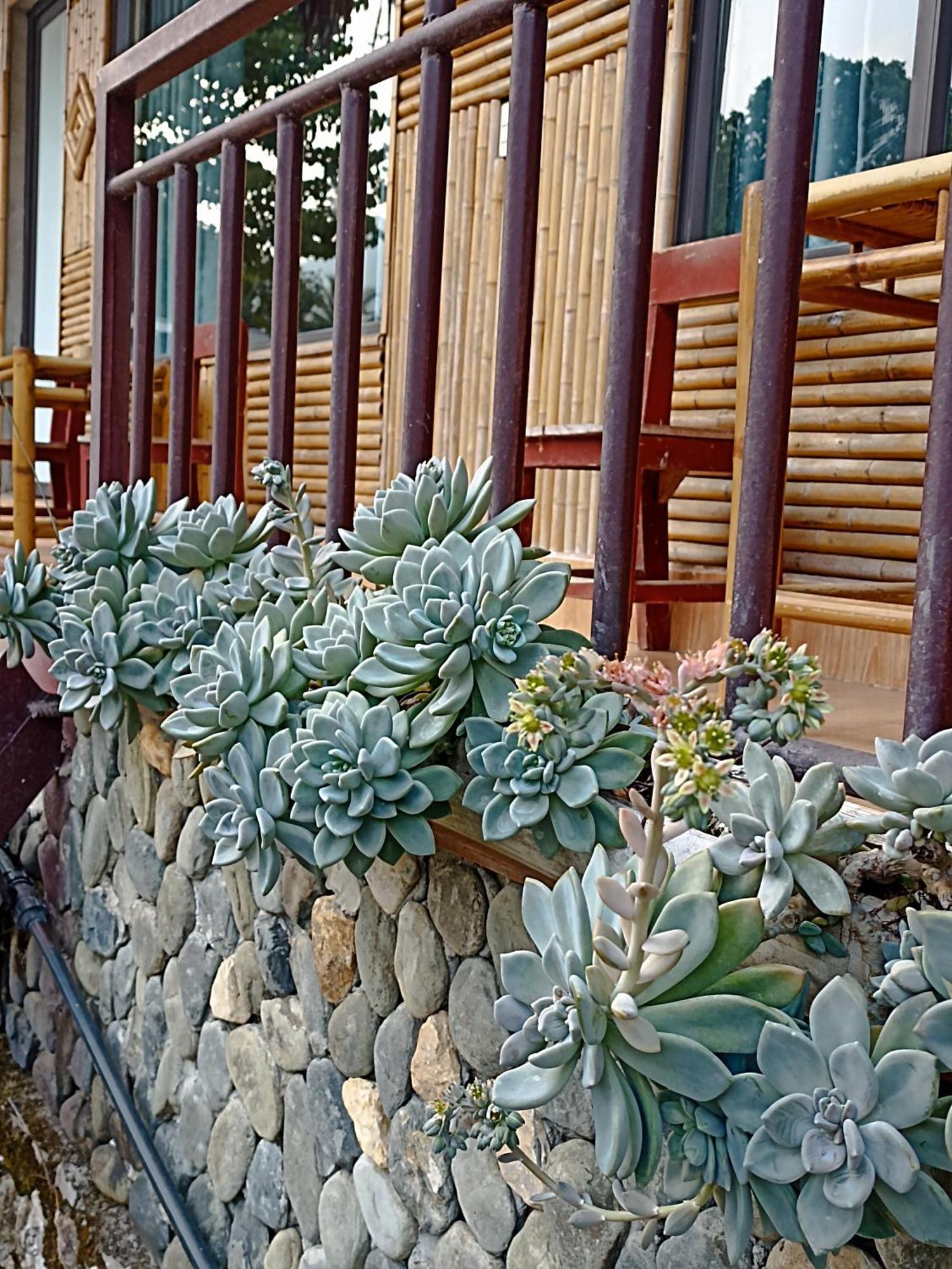 Thao Ly Homestay Mai Chau Hoa Binh Екстер'єр фото